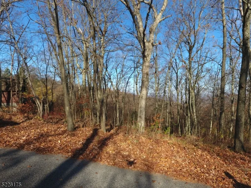 78 Lakeside Dr NW Vernon, NJ 07461