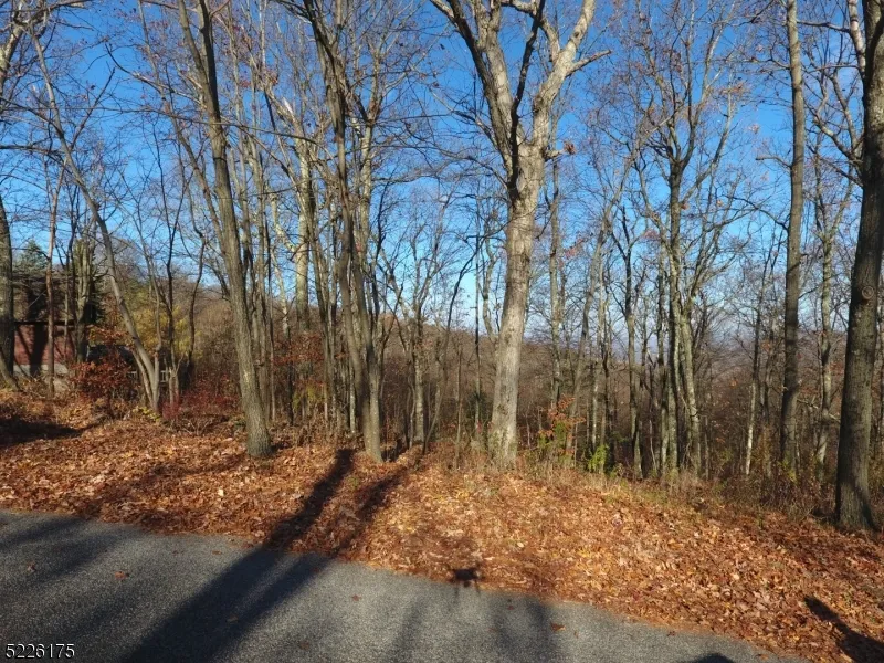 78 Lakeside Dr NW Vernon, NJ 07461