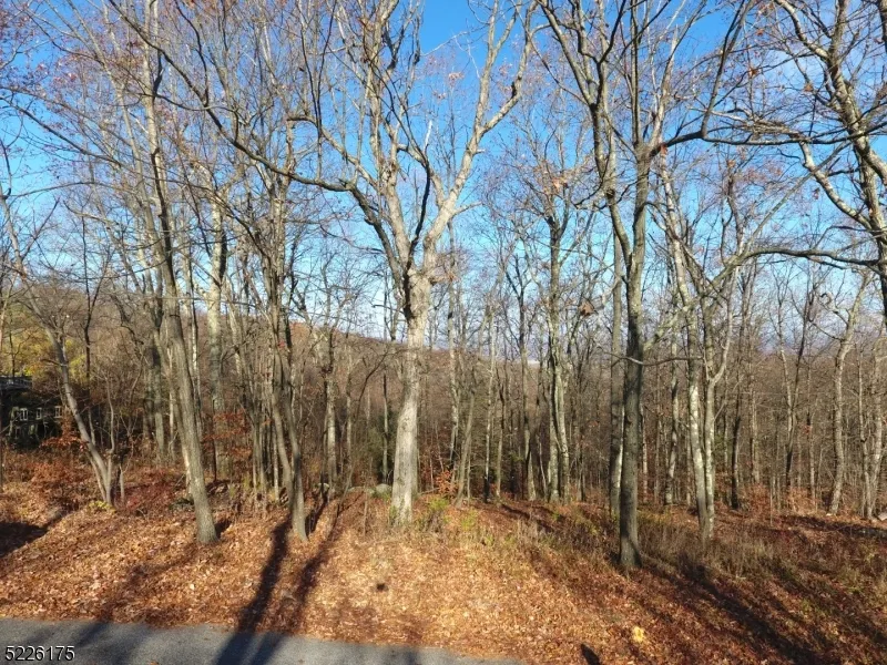 78 Lakeside Dr NW Vernon, NJ 07461