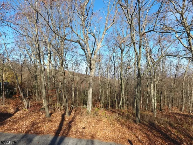 78 Lakeside Dr NW Vernon, NJ 07461