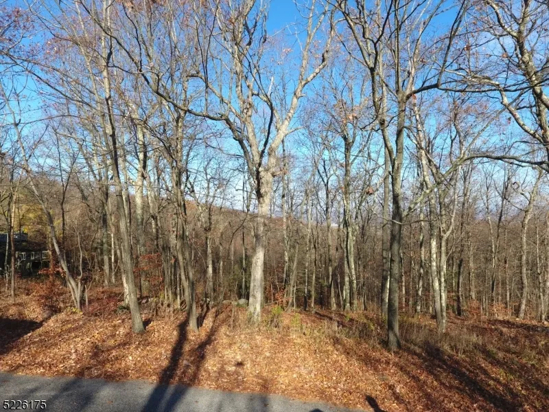 78 Lakeside Dr NW Vernon, NJ 07461