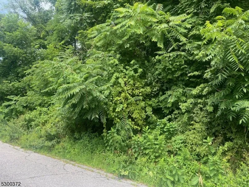 26 Arrowhead Dr Wantage, NJ 07461