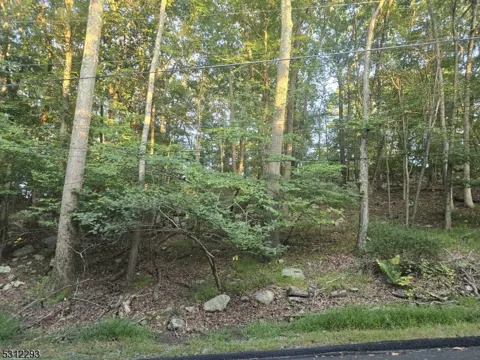 35 Mountain Trl