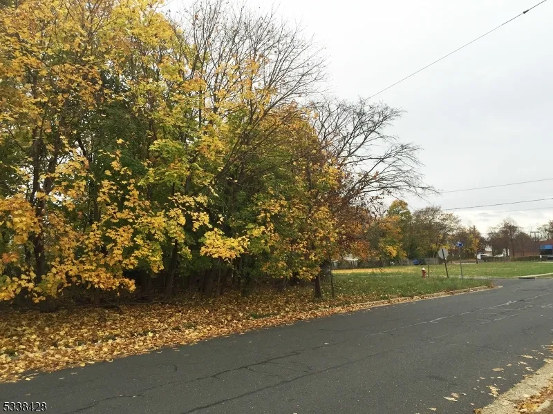 491 Lewis St Franklin, NJ 08873