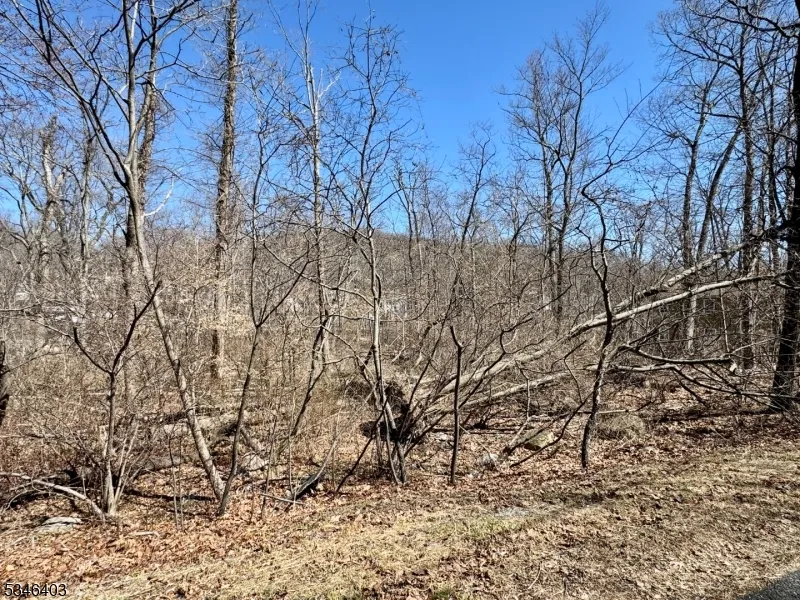 11 Wills Ave Hopatcong, NJ 07874
