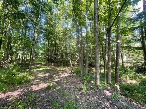 29 Elm Ave