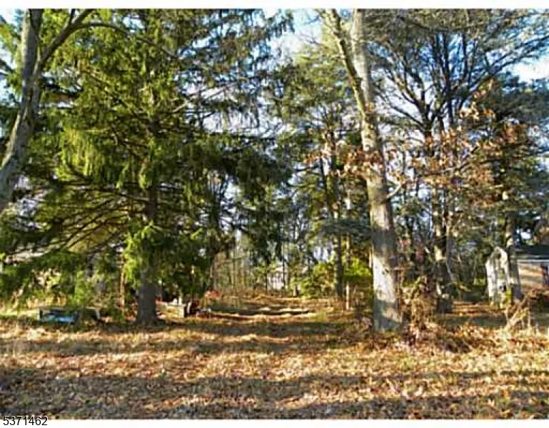 3241 Route 27 Franklin, NJ 08823