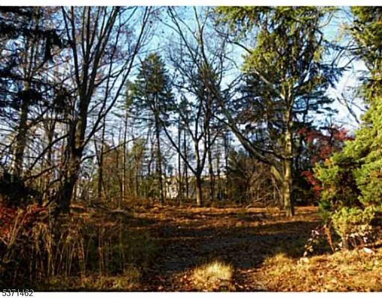 3241 Route 27 Franklin, NJ 08823