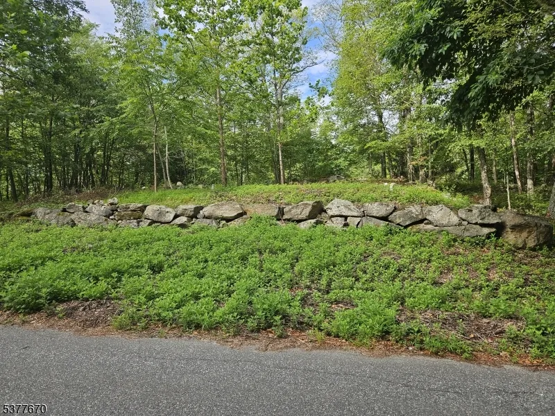 15 Lakeside Dr Vernon, NJ 07461
