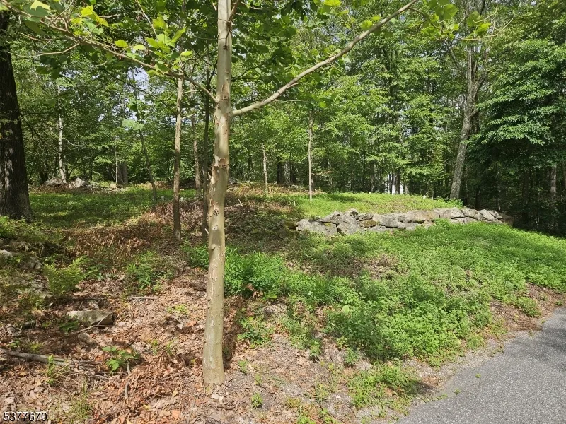 15 Lakeside Dr Vernon, NJ 07461