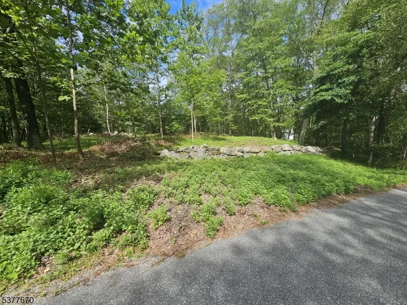 15 Lakeside Dr Vernon, NJ 07461