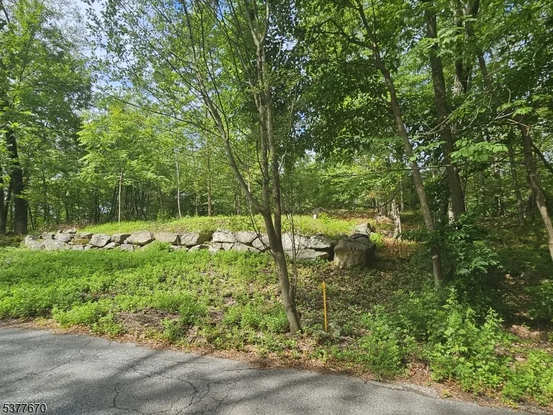 15 Lakeside Dr Vernon, NJ 07461