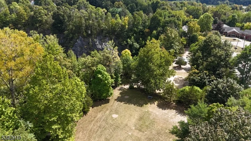 65 Buckwheat Road Franklin, NJ 07416