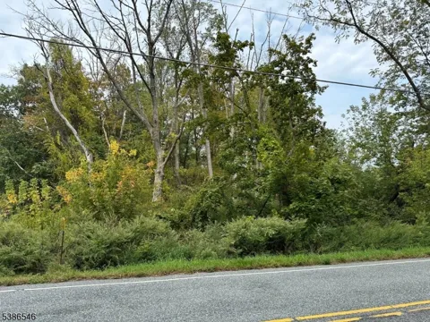 413 Mountain Lake Rd