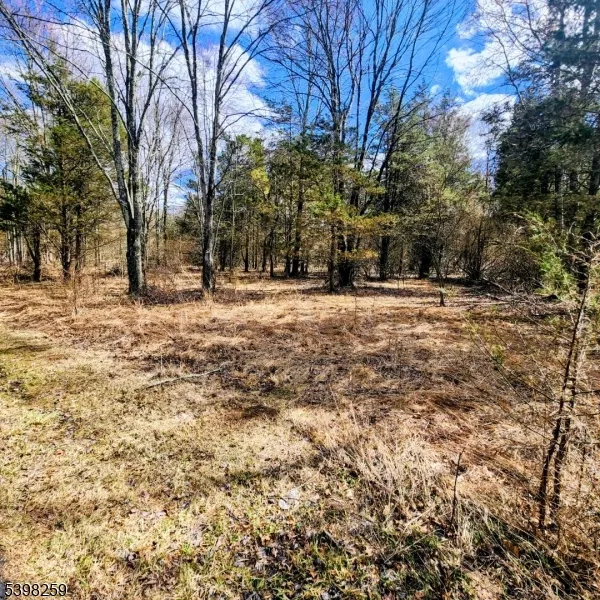 2 Shrope Ln Kingwood, NJ 08825