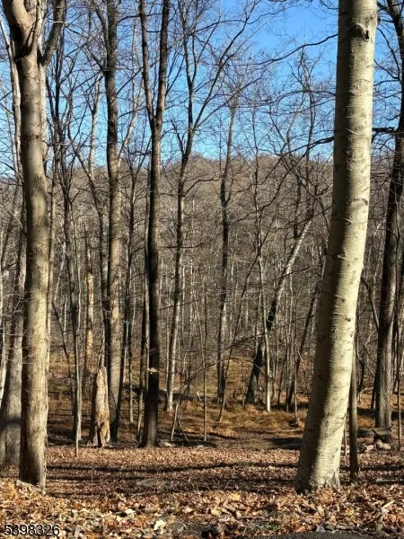 2 Kent Brook Ter