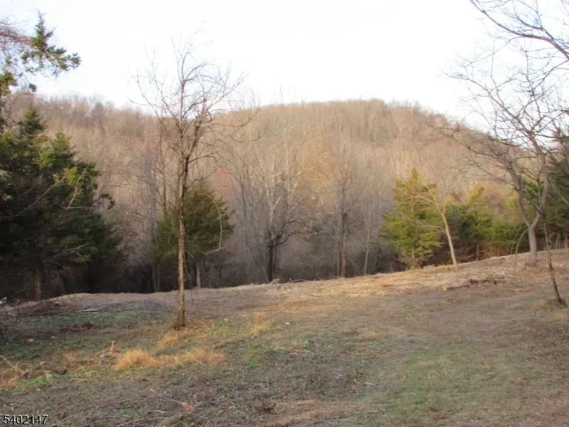 0 Clark Road Wantage, NJ 07461