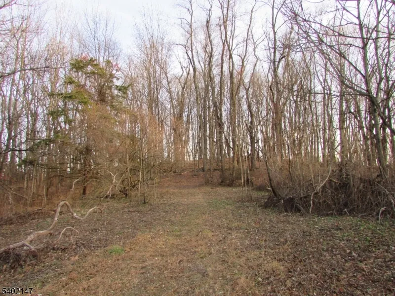 0 Clark Road Wantage, NJ 07461