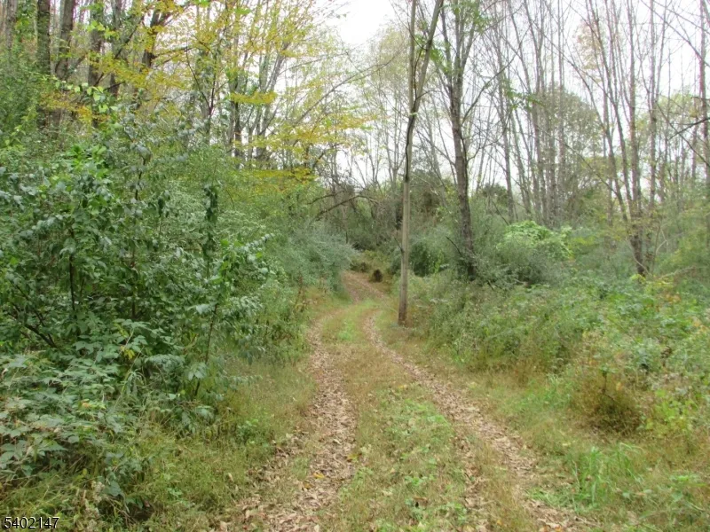0 Clark Road Wantage, NJ 07461