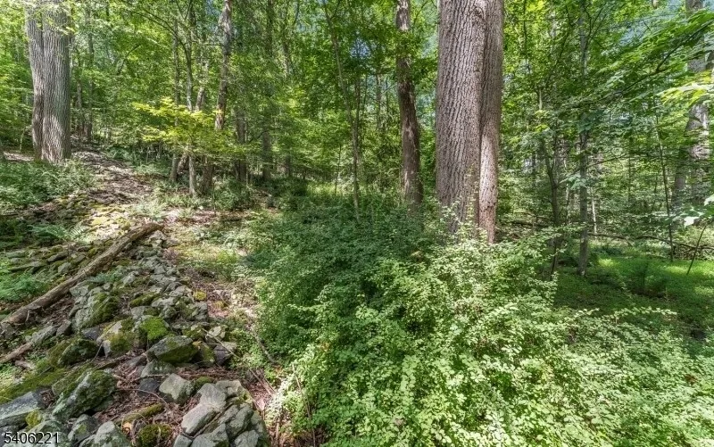 0 Sweet Hollow Rd Holland, NJ 08848