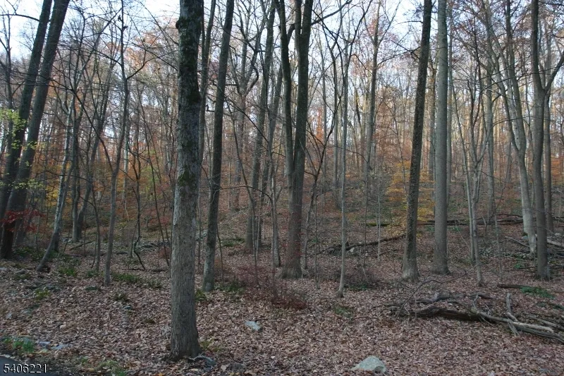 0 Sweet Hollow Rd Holland, NJ 08848