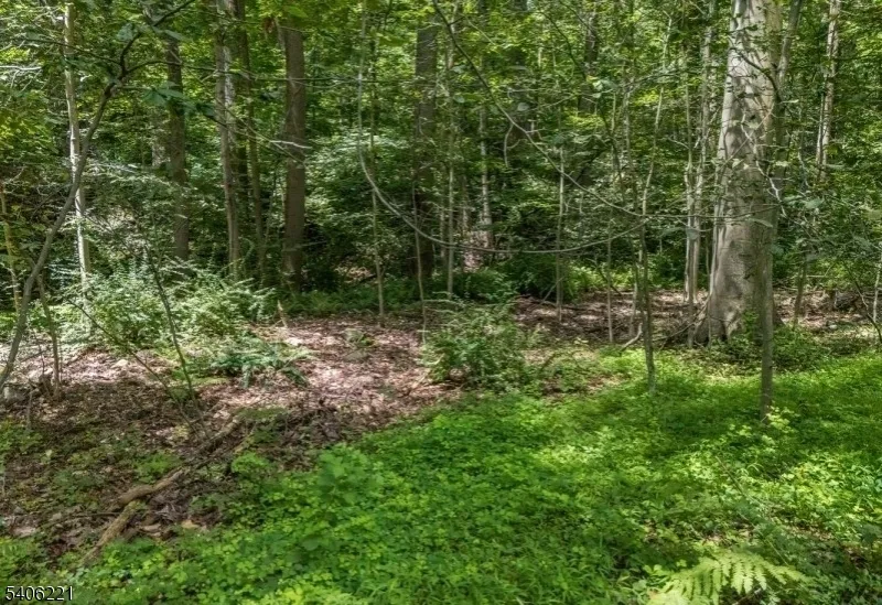 0 Sweet Hollow Rd Holland, NJ 08848