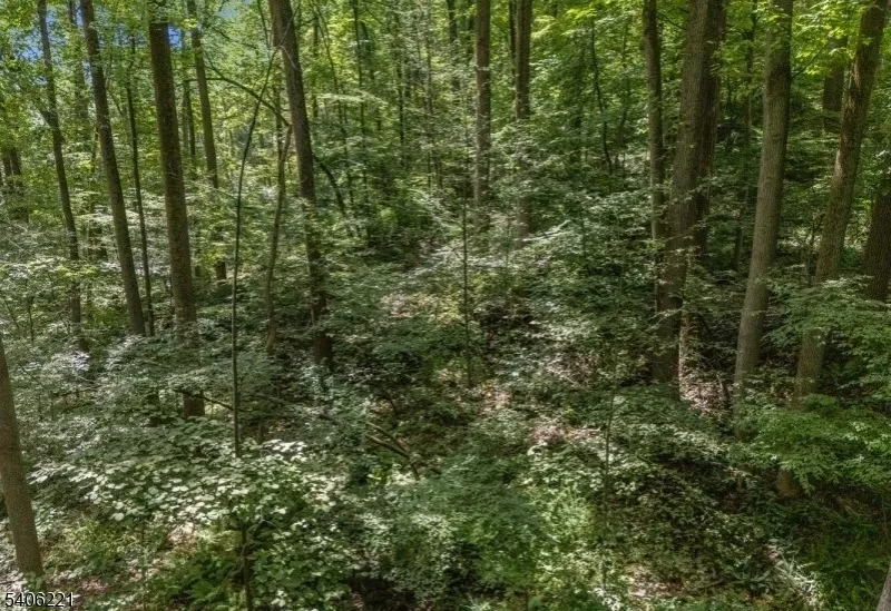 0 Sweet Hollow Rd Holland, NJ 08848