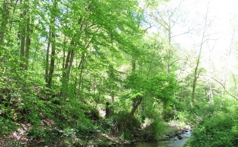 0 Sweet Hollow Rd Holland, NJ 08848