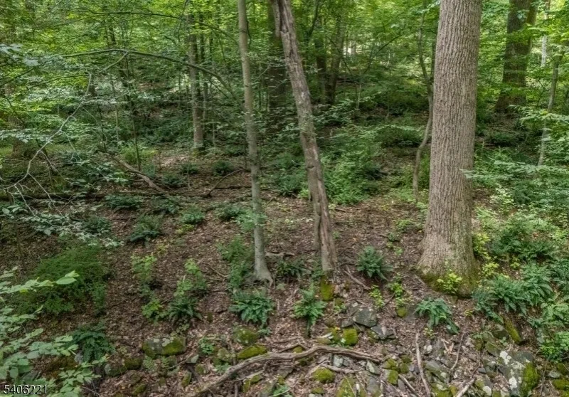 0 Sweet Hollow Rd Holland, NJ 08848