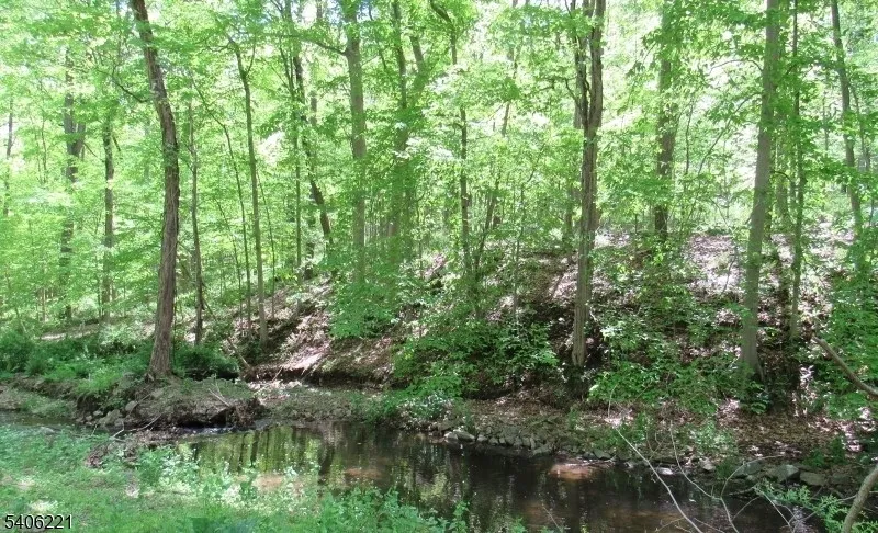 0 Sweet Hollow Rd Holland, NJ 08848