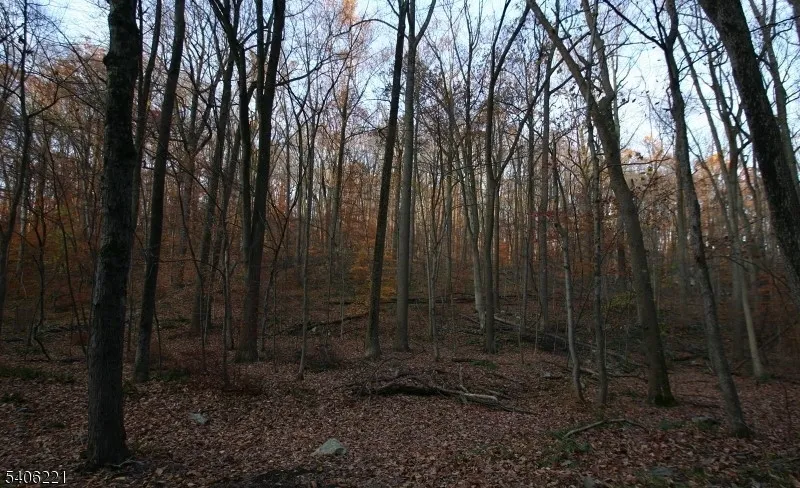 0 Sweet Hollow Rd Holland, NJ 08848