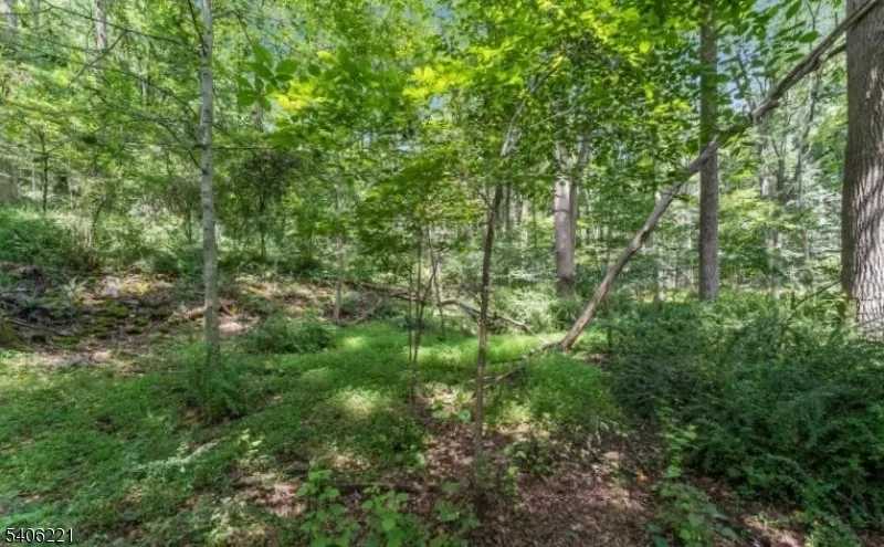 0 Sweet Hollow Rd Holland, NJ 08848