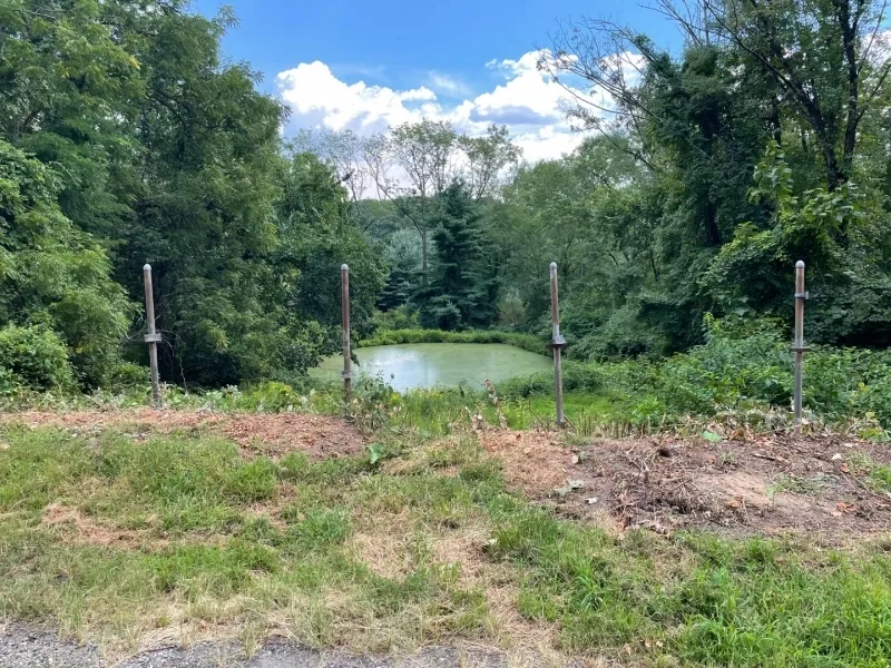 282 Mount Kemble Ave Morris, NJ 07960