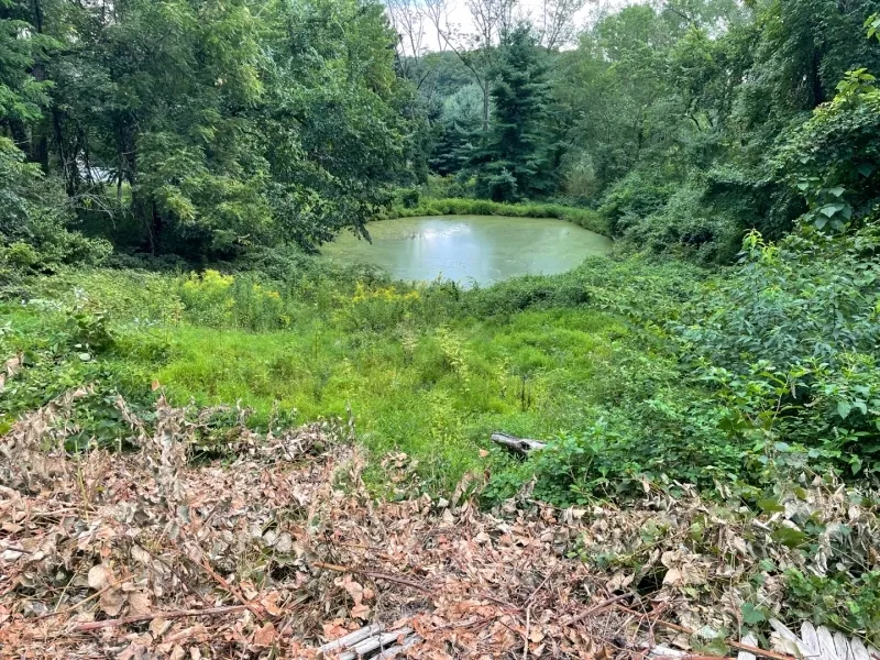 282 Mount Kemble Ave Morris, NJ 07960