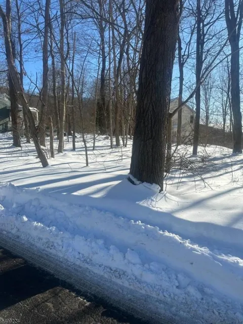 2 Pine Dr