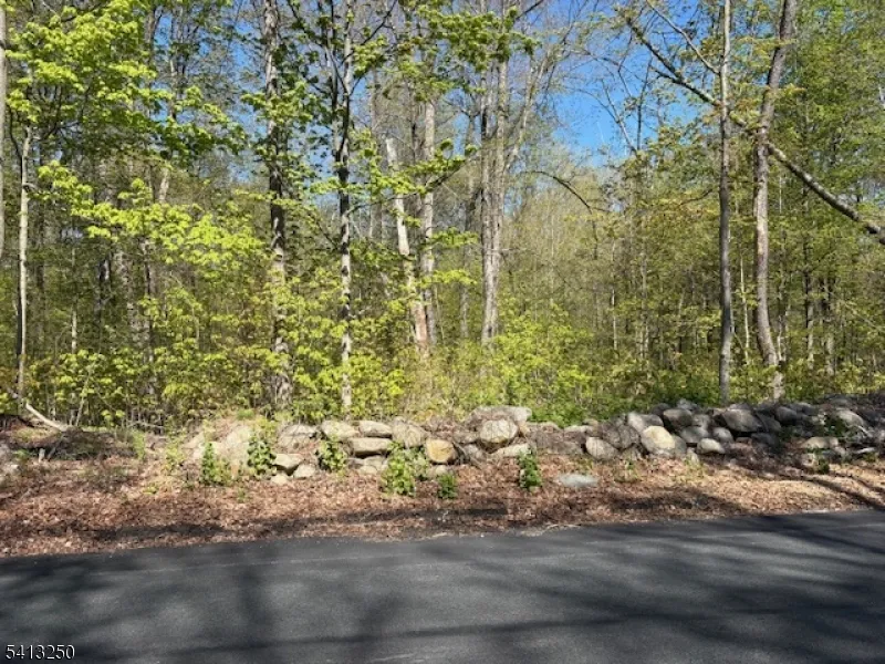 0 Schoolhouse Rd Jefferson, NJ 07438