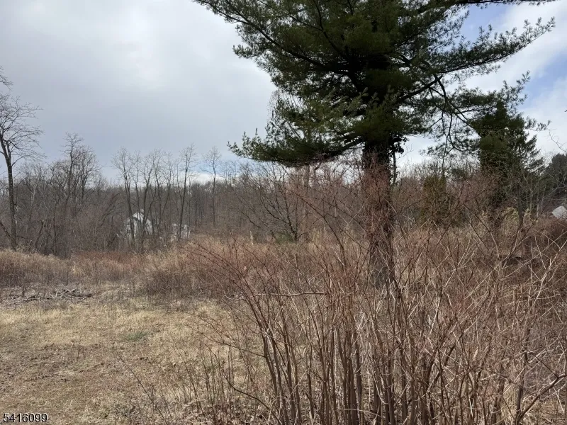 197 E Mill Rd Washington, NJ 07853