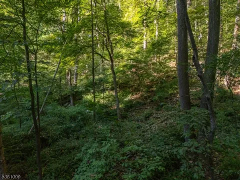 0 Sweet Hollow Road