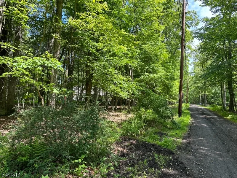 0 Devita Rd Sandyston, NJ 07826