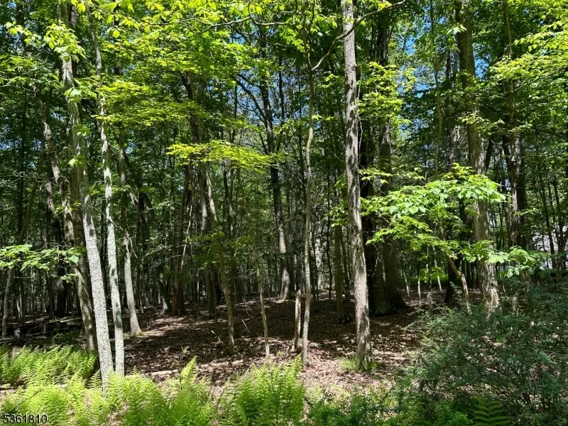 0 Devita Rd Sandyston, NJ 07826