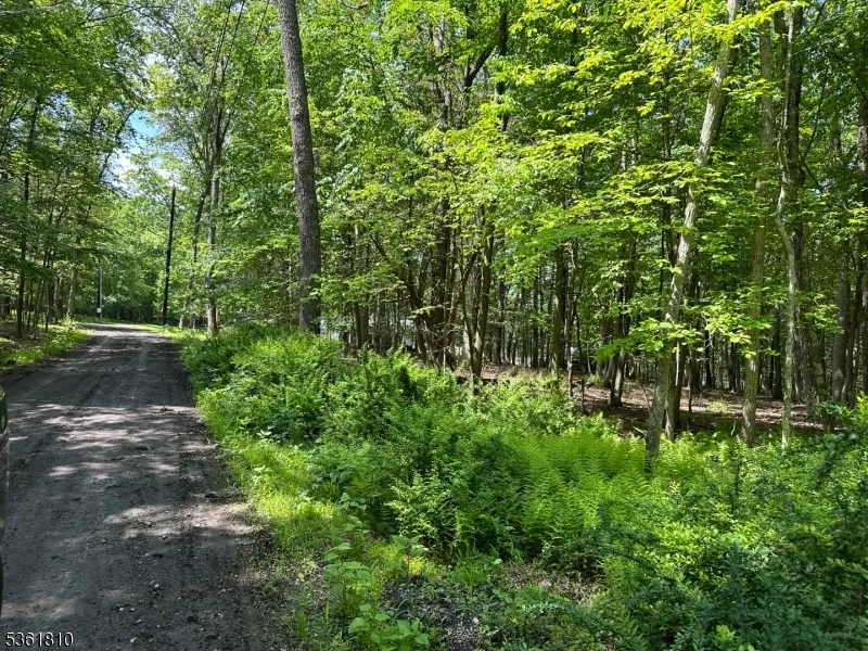 0 Devita Rd Sandyston, NJ 07826