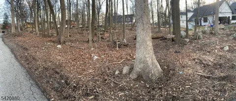 48 Mountain Rd