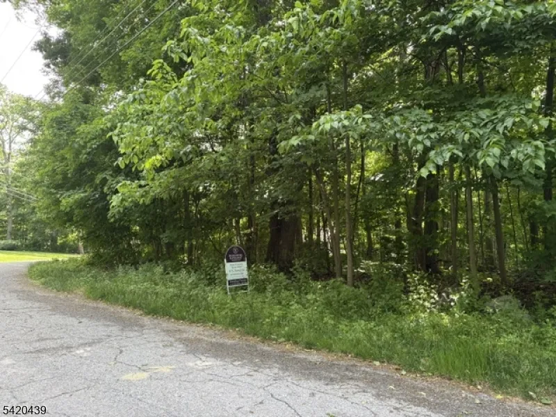 3 Wood Dale Court Vernon, NJ 07461