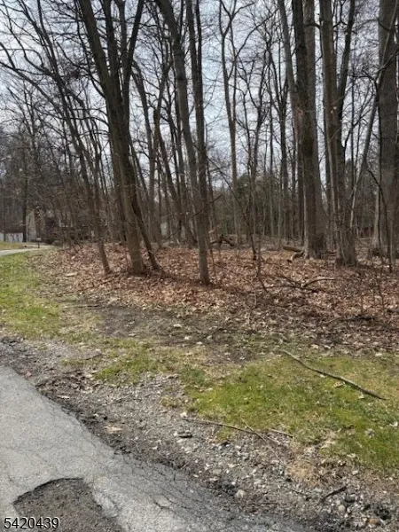 3 Wood Dale Court Vernon, NJ 07461