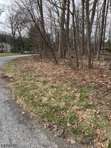 3 Wood Dale Court Vernon, NJ 07461