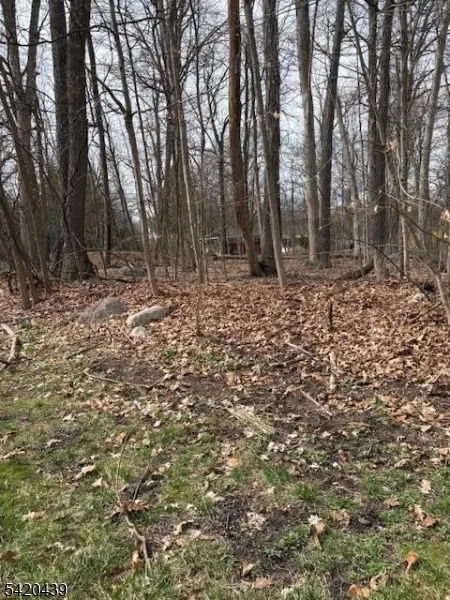 3 Wood Dale Court Vernon, NJ 07461