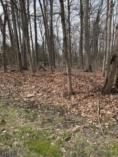 3 Wood Dale Court Vernon, NJ 07461