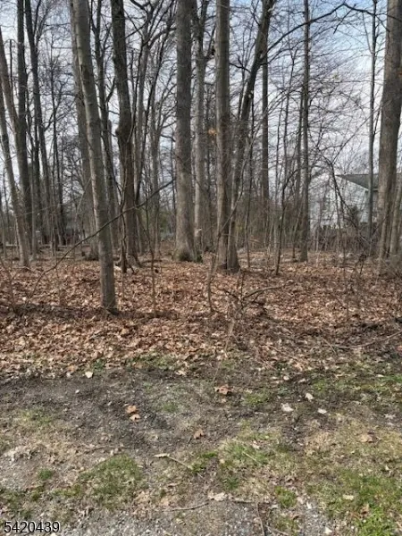 3 Wood Dale Court Vernon, NJ 07461