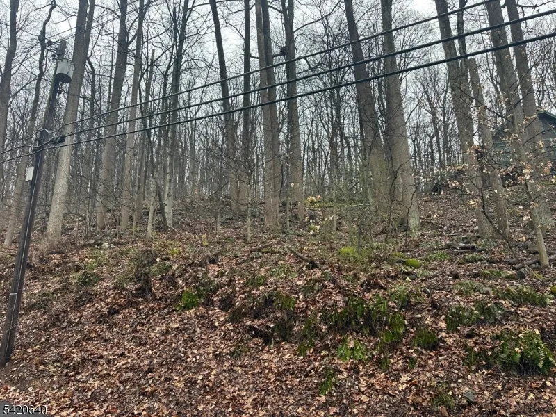 120 Millbrook Road Franklin, NJ 07882