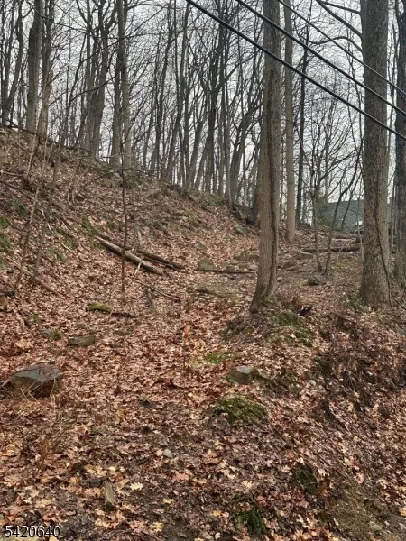 120 Millbrook Road Franklin, NJ 07882